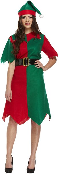Christmas Elf (One Size) Adult Fancy Dress Costume