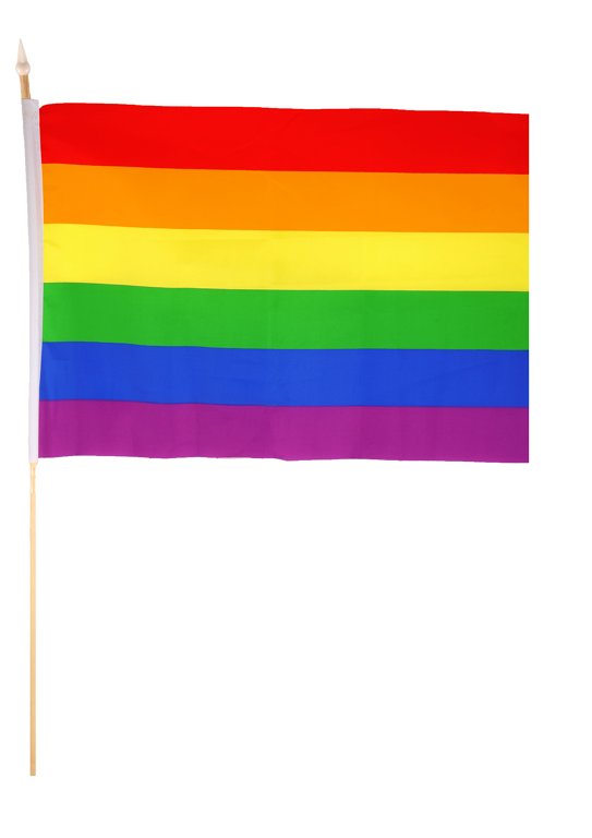 Rainbow Gay Pride LGBTQ+ Hand Flag (45cm x 30cm) with Wooden Stick