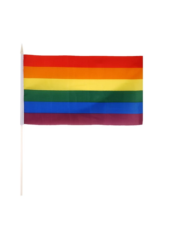 Rainbow Gay Pride LGBTQ+ Hand Flag (29cm x 17cm) with Plastic Stick